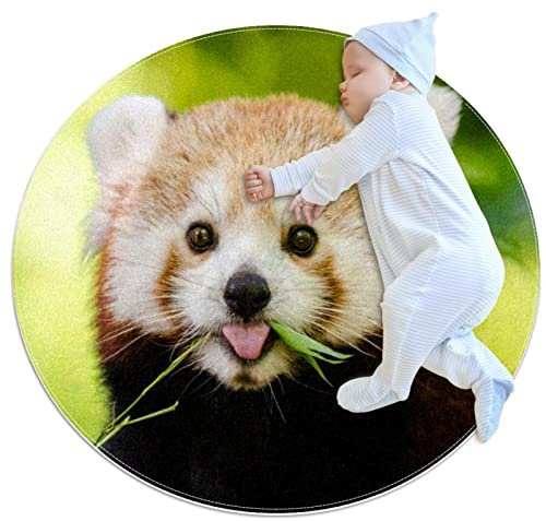 Kleiner Teppich, Badezimmer, Tier, roter Panda, rutschfester Überwurf, Boden-Teppich, Türmatte für Sofa, Schlafzimmer, Kinderzimmer, Dekoration, (rund – 71 cm Durchmesser)