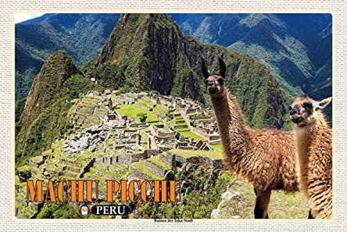 mrdeco Metall Schild 20x30cm gewölbt Machu Picchu Ruinen der Inka-Stadt Lamas Deko Blechschild Tin Sign
