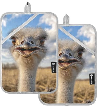 Straußen-Foto-Topflappen-Set für Küche, Topflappen, Küche, Hot Pad, 2 Stück
