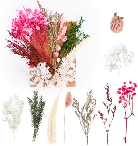 Getrocknete Blumen, gepresste Blumen, Trockenblumen, Basteln für DIY-Kunst, Kunstharz, Scrapbooking, Schmuckherstellung, Blumendekorationen (Rosa und Cyan)