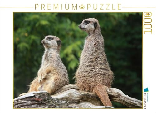 CALVENDO Puzzle Zwei kleine Wachposten | 1000 Teile Lege-Größe 64 x 48 cm Foto-Puzzle für glückliche Stunden
