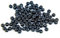 First4Fishing Genie - 3mm Rig Beads Black