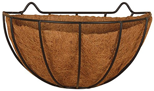 Fallen Fruits Ltd Pot de Fleurs Mural Noir Taille S