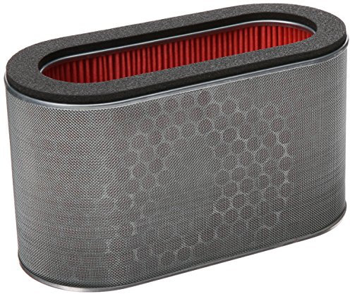Filtro aria Honda 17210-mcs-g00