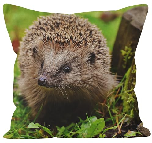 CEVAN Leinen Kissenbezüge Leinen Kissenhülle Pad Igel Kissenbezüge Herbst Kissenbezug Kinderzimmer Kissenbezüge Sofa Dekor 45x45cm,1Pcs