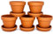 meindekoartikel 5 Töpfe und 5 Untersetzer aus Ton - Blumentopf Pflanzgefäß für Garten, Balkon und Zuhause (10tlg.Set - Ø 6 cm)