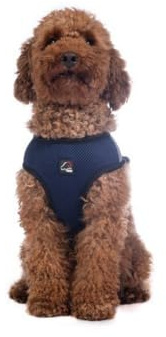 HKM Buddy Soft Dog Harness Rose S