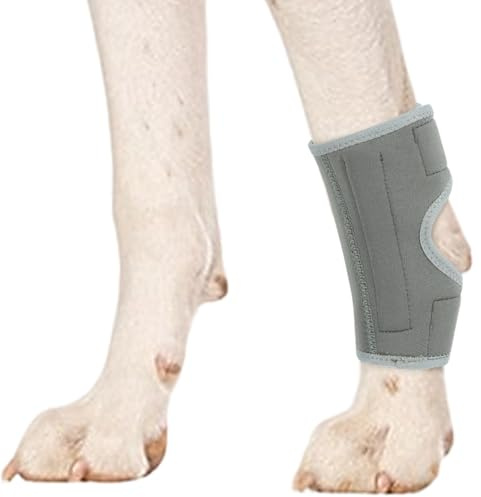 PUMYPOREITY 1 Pieza Rodillera Perro Pata Trasera/Delantera, Artrosis Perro Rodillera Protector Patas Codera Ortesis Lesiones Ligamentos(Gris, M)