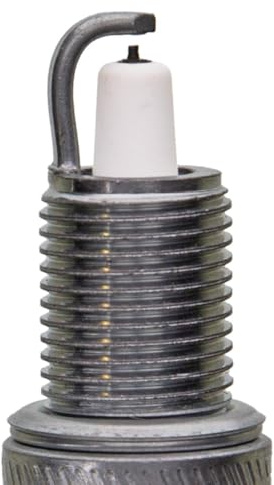 Champion 9810