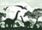 WallArena - Vlies Fototapete Kinderzimmer 312x219 cm Dinosaurier Jungs Dino für Kinder - Fototapeten Tapeten für Kinder Kindertapete Kinderzimmertapete - Vliestapete Wandtapete Tapete 3D Effekt