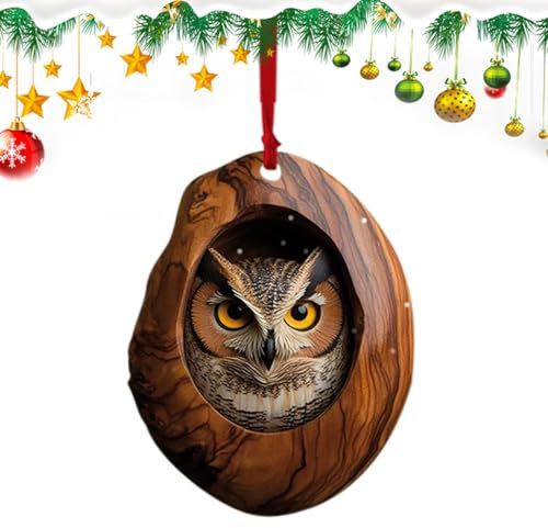 Weihnachten Acryl Tier Dekoration, Anhänger, Eule Weihnachtsbaum Anhänger, Weihnachtsbaumschmuck 2D Anhänger Eule, Wohnzimmer Schlafzimmer Dekoration Und AUT Innenraum, Keepsake Geschenke