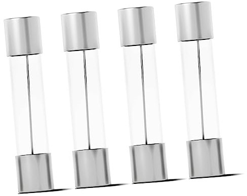 AUTSUPPL 100pcs Fuse Glass High Voltage Microwave Oven Fridge Fuse Tubes Replacement for Microwave Oven Repair