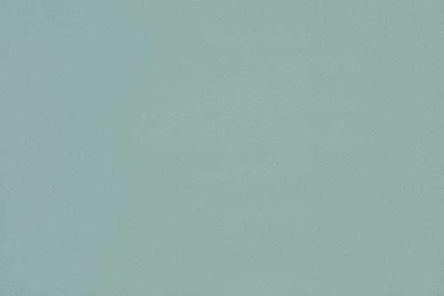 Hey-Sign Edelstahlschale incl. Filzuntersetzer in vielen Farben, Farbe:50 - Aqua