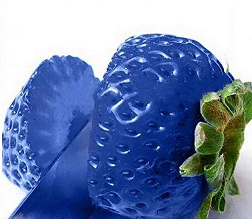 Benoon Semillas De Fresa, 1 Bolsa Semillas De Fresa Semillas De Frutas Naturales De Colores Mixtos Prolíficos Para Patio Azul Semillas de fresa