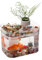 Niwugady Acquario trasparente con coperchio, con pompa d'aria USB, decorazione da scrivania, piccolo acquario per pesci Betta, gamberetti, pesci rossi, A