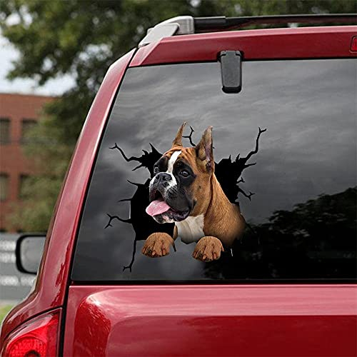 Ocean Gift Boxer Auto Decals, Hund Auto Aufkleber 2 Stück - Realistische Boxer Aufkleber für Auto Fenster, Wände Serie 106 Größe 20,3 x 20,3 cm