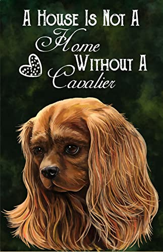 Lustiges Metall-Blechschild Cavalier King Charles Spaniel Rubinrot Cavalier Hund Retro Blechschild Vase Blumen Poster Plakette Eingangsdekoration Galerie Wandschild 30,5 x 20,3 cm