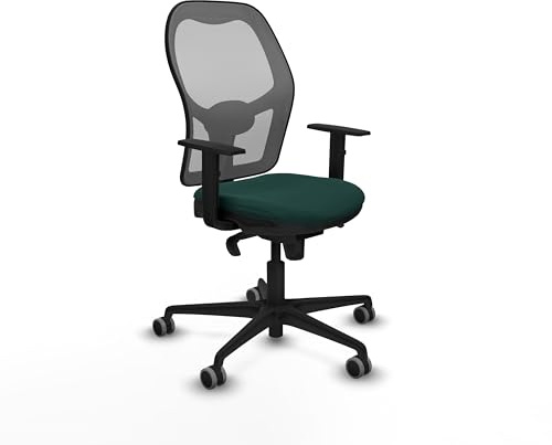 Piqueras y Crespo Ergonomischer Bürostuhl, atmungsaktiv, mit verstellbaren Armen, feste Rückenlehne, Lendenwirbelstütze 1D, Verwendung von 8 Stunden und maximales Gewicht 120 kg