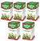 Lot de 5 boîtes de Tisane infusion Ernst Richter 40g - 100% à base de plantes naturelles / Régulation du transit / Spécial Minceur / 5 x 20 sachets filtres de 2g