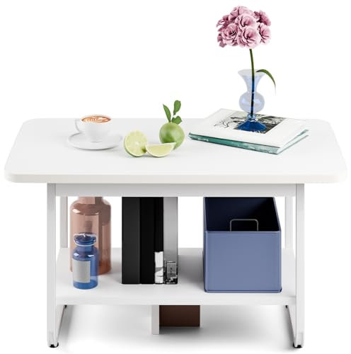 Cadciehe Coffee Table With Storage Shelf, Tea Table for Living Room, Double Layer With Stable Base, Easy Assembly White