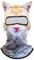 OLIPHEE 3D Cat Ski Sturmhaube für Herren Balaclava Damen Transparente Gesichtsmaske mit Ohren Niedliche Tier Ski Mütze für Musikfestivals Raves Party Outdoor Aktivitäten 01 Orange Katze