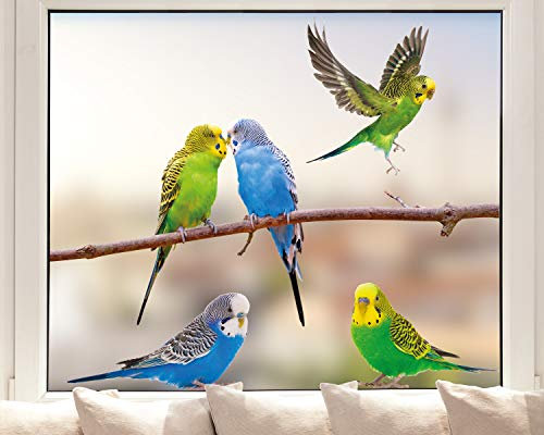 Pixblick Fenstersticker - Wellensittiche I Made in Germany I Wiederverwendbar