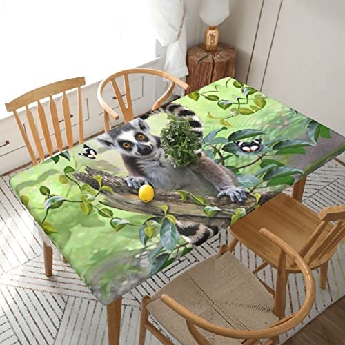 BAFAFA Ringtailed Lemur bedruckte Spannbettdecke, 1,5 m, elastische Ecken, Tischdecken, wasserdicht, abwischbar, für Outdoor, Picknick, Küche, Tischdekoration