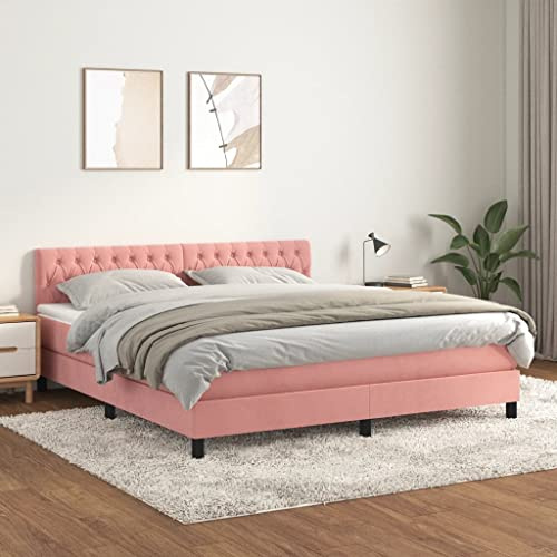 Willood Boxspringbett mit Matratze Rosa 180x200 cm SamtKnopfheftung Design