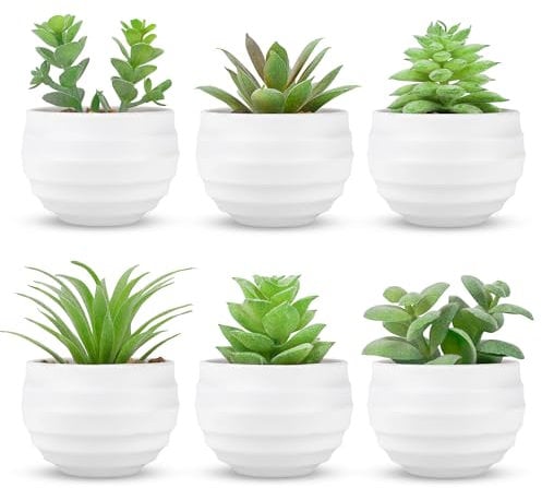 BTSD-home Lot de 6 plantes succulentes artificielles en pots pour chambre à coucher, salon, bureau, étagère, salle de bain, décoration verte