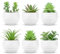 BTSD-home Lot de 6 plantes succulentes artificielles en pots pour chambre à coucher, salon, bureau, étagère, salle de bain, décoration verte