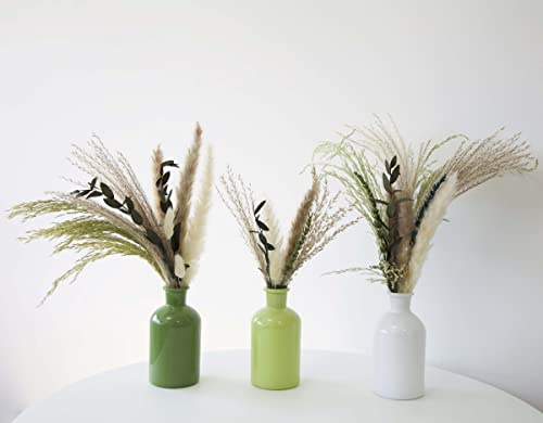 Decor Essentials Riga Vases Set mit 3 einfachen Apothekerflaschen, einfarbig, Einzelstiel-Knospenvasen für getrocknete Blumen (grün/weiß)