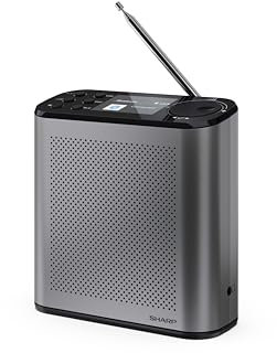 SHARP DR-P530(GY) Radio digitale portatile Osaka, DAB+, DAB e FM con RDS, Bluetooth 5.3, schermo a colori da 2,4, USB-C o batteria litio integrata, altoparlante integrato, connessione per cuffie.