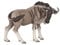 Papo -Handbemalt - Figuren -Wildtiere Der Welt-Gnu-50101-Sammelbar-Für Kinder - Geeignet für Jungen und Mädchen - Ab 3 Jahren