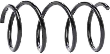 KYB Front Coil Spring RA4006