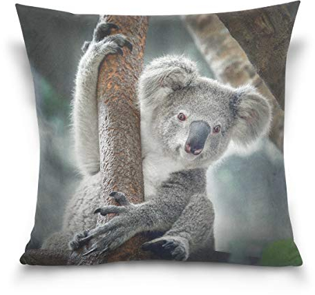 Linomo Kissenbezug 50x50 cm, Süß Tier Koala Dekorative Kissenbezug Kissenhülle für Couch Sofa Bett Hause