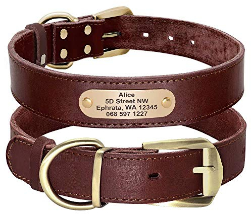 Didog Genuine Leather Dog Collars with Engraved Nameplate, Personalized Soft Leather Dog Collar with Custom ID Tag, Brown/Green/Red for Medium Large Dogs