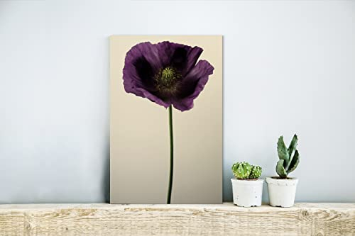 Glasbild Glasfoto Wandbild Bilder Deko 20x30 cm Nahaufnahme eines violetten Mohns