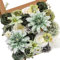 Serwalin grüne künstliche Blumen Box Set, Seidenblumen mit Stielen, realistische gefälschte Kuchenblumen für Hochzeit Sträuße Mittelstücke Dekor Baby Dusche Dekoration (Grün)