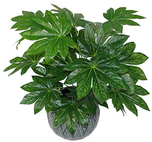 Leaf Feuille Artificielle Aralia Japonaise 60 cm Pot en Plastique Noir