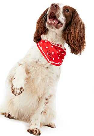 Joules Rosewood Halstuch, gepunktet, Rot