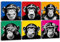 PopArt Affen - frei kombinierbare Sets - aufhängfertig auf Leinwand - 4- oder 6- oder 9-teilig - verschiedene Formate, aufhängfertig (20 x 20 cm (pro Bild), 6er Set)