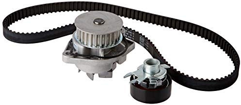 INA 530 0166 31 Wasserpumpe + Zahnriemensatz