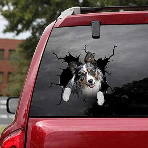 Ocean Gift Australian Shepherd Auto-Aufkleber, Hunde-Autoaufkleber, 2 Stück, realistische australische Schäferhund, Aufkleber für Autofenster, Wände, Serie 42, Größe 25,4 x 25,4 cm