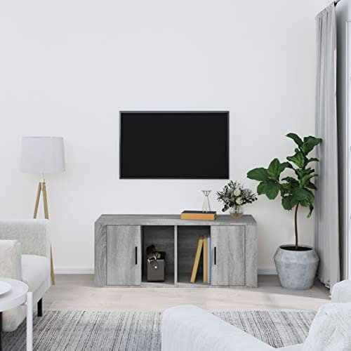 ShGaxin Meuble TV, meuble TV salon, meuble TV, meuble TV, modules de salon, meuble bas TV, bois contreplaqué gris Sonoma 100 x 35 x 40 cm