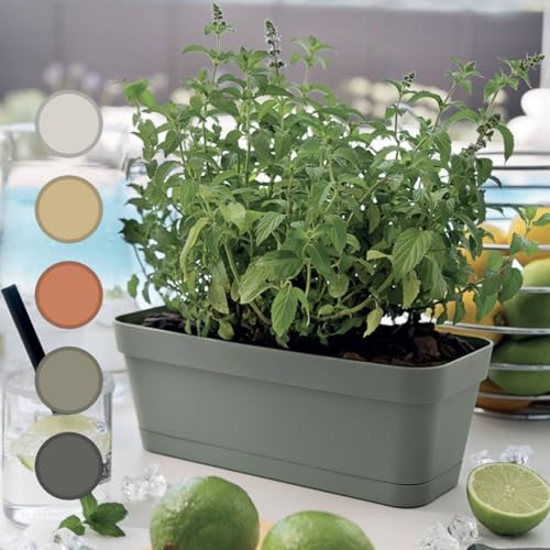 Generico Vaso Rettangolare Moderno per Piante Grasse e Bonsai Set 3, Design Italiano, Plastica Resistente con Sottovaso, 30cm, Ideale per Interni ed Esterni, Fioriere da Balcone (Antracite)