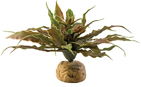 Exoterra Décoration Cactus Etoile pour Reptiles et Amphibiens