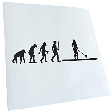 Kiwistar - Autoaufkleber - Stand Up Paddling Evolution - Mattschwarz - 20x5,1cm - Heckscheibe Auto Aufkleber wetterfest für Kfz LKW Mofa Truck - Sticker außen selbstklebend Tuning Zubehör für Fenster