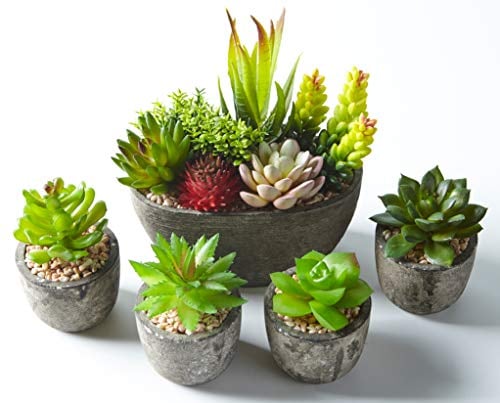 Jobary Set of 5 Artificial Succulent Potteds (Includes 10 Plants), Colourful and Decorative Faux Succulent Plants with Stones, Ideal for Home, Office and Outdoor Decor