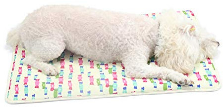 BOduShang Hundedecken Personalisierter Druck Hundematte Wiederverwendbar Hundebecken Sanft Hunde Decke for Zuhause Zwinger Wagen Reise Drinnen Draußen Camping Candy,60