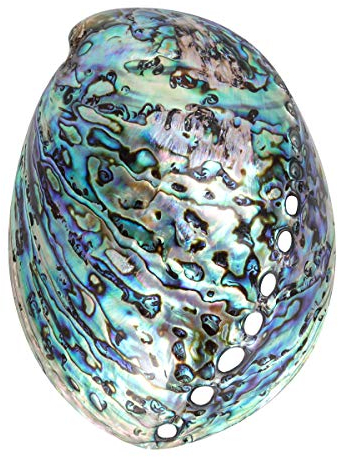 PRETYZOOM Coquille d'ormeau naturelle délicate et naturelle de 10 à 12 cm - Fait à la main - Accessoires de bijoux pour collier, bracelet pour décoration de la maison